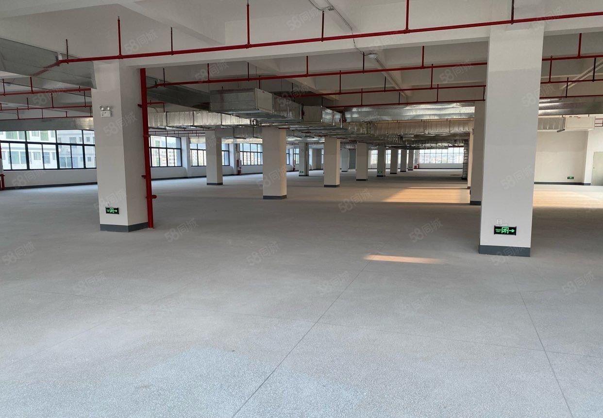 惠阳全新厂房出租，宿舍配套