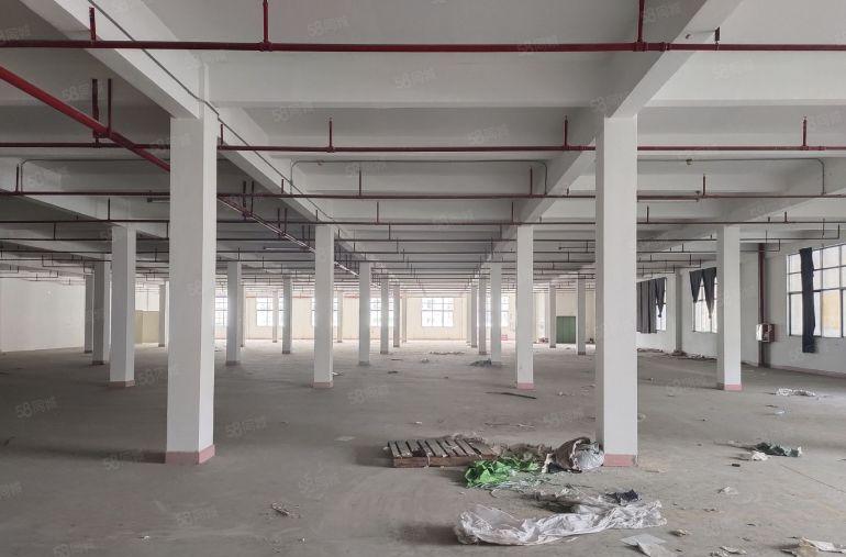 800平起租花园厂房惠阳新圩长布靠秋长原房东大空地独院厂房