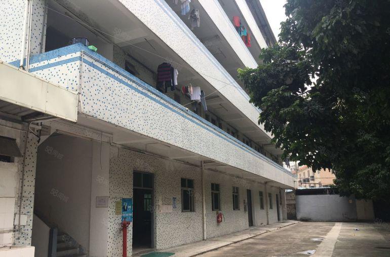 惠阳新圩工业园区独院2百5百8百1千平一楼仓库厂房出租可分租