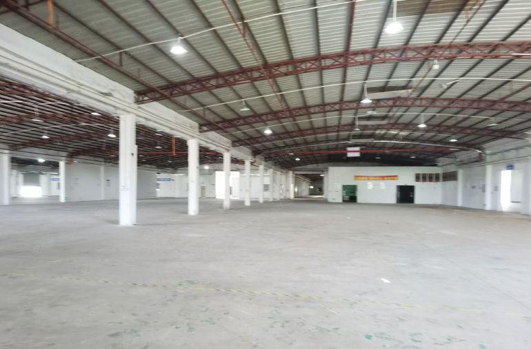 临深惠阳新圩工业区原房东独院钢构厂房5800平可分租主干道旁