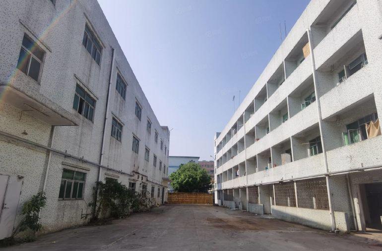 长深高速口新圩独栋厂房4680平米空地大可办环评免租3个月