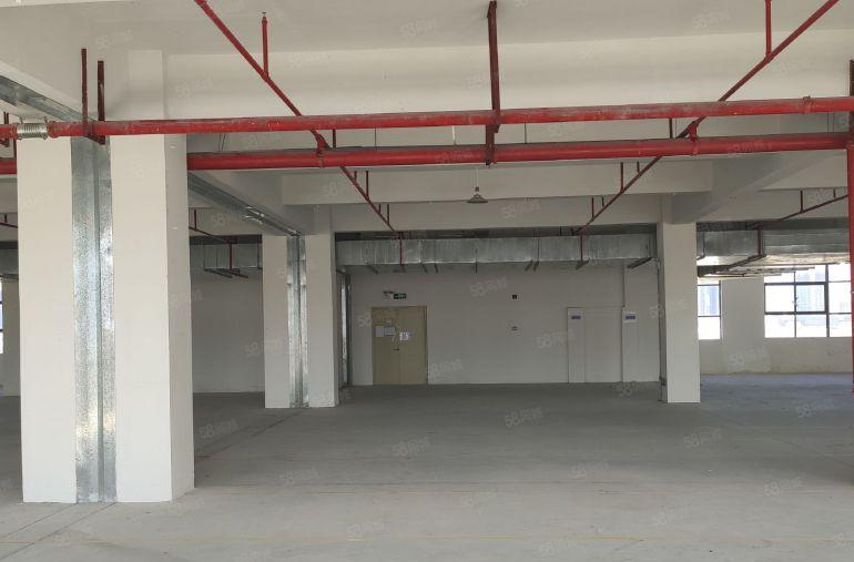 8块，惠阳镇隆原房东2000平厂房仓库出租，实际面积形象靓