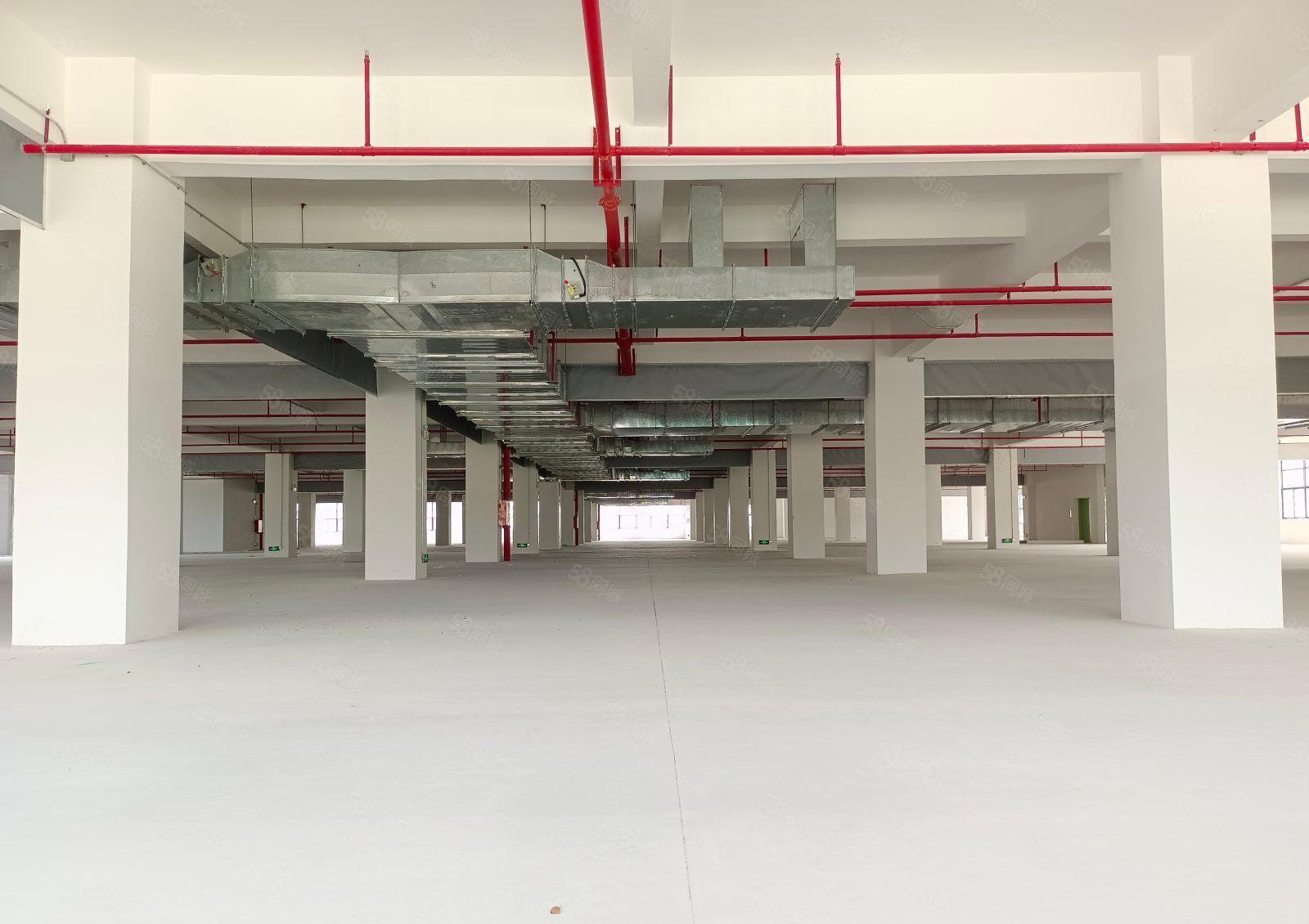 急租5吨货梯 惠阳秋长维布6000平米厂房出租大小分租带红本