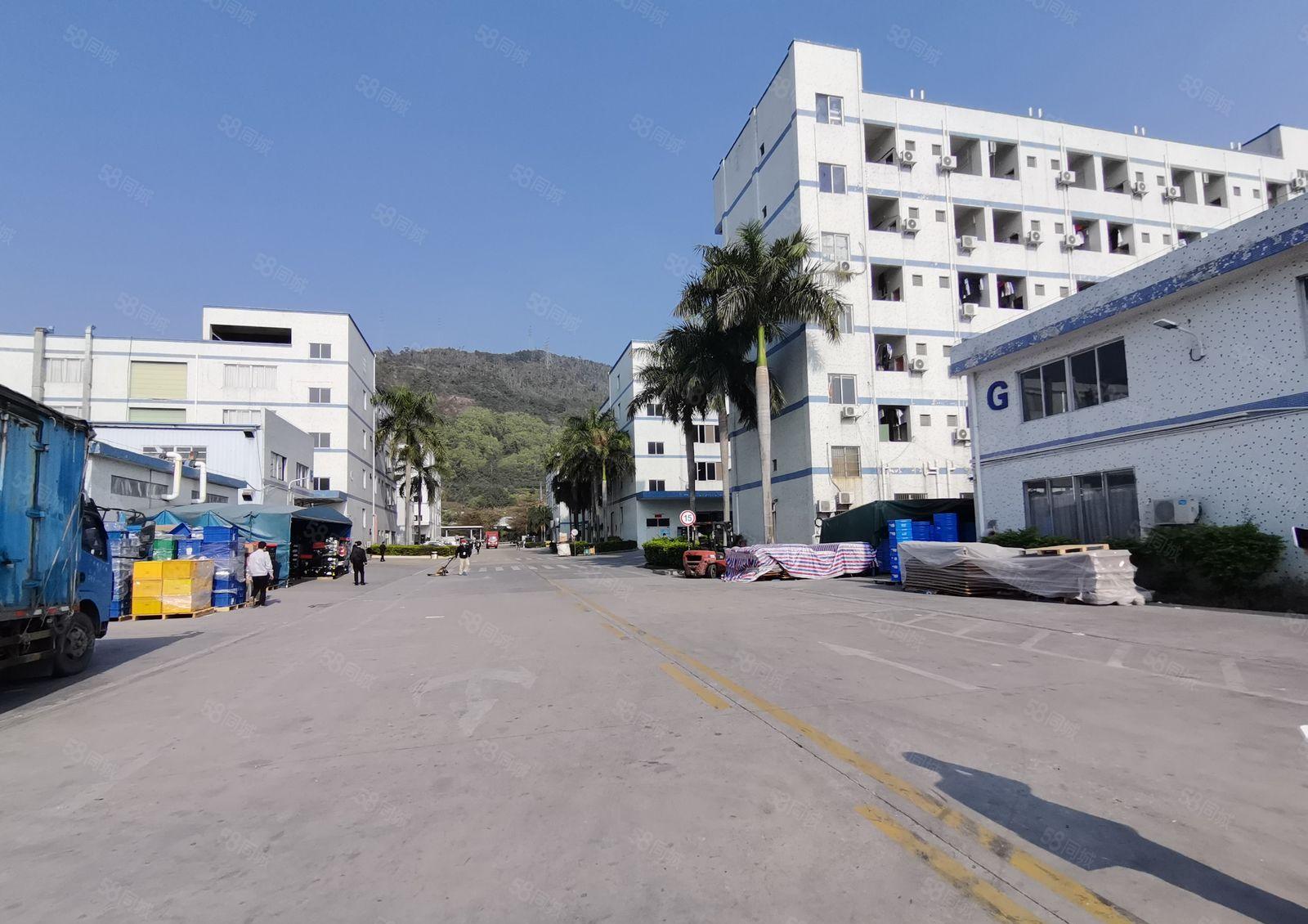 500平起新圩东风工业区5000平原房东厂房仓库出租可办环评