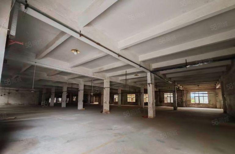 惠阳新圩约场新出原房东红本独院标准厂房16000平方米出租