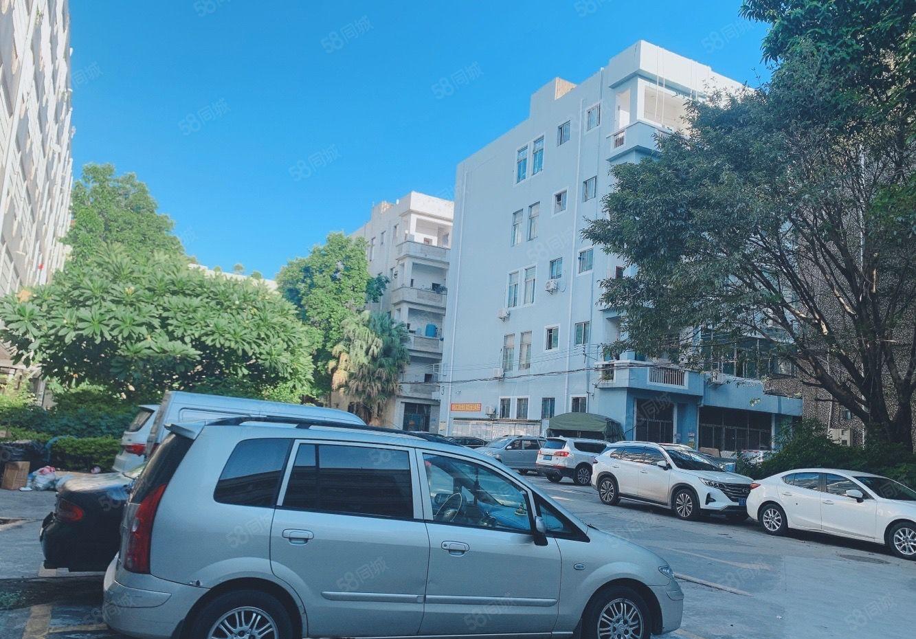 惠阳新圩原房东标准仓库厂房出租1000平高6米200起租可分