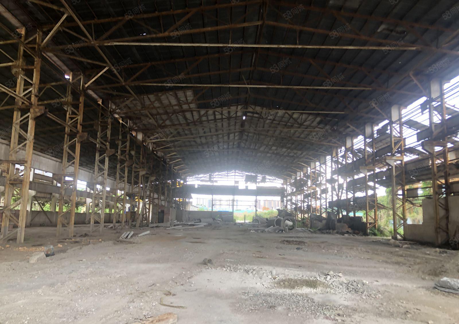 可做水泥制品特种钢构厂房，12m滴水，面积5000空地4万