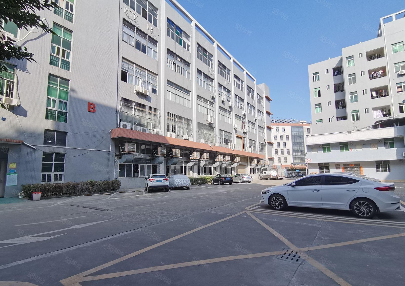 镇隆第二工业区原房东楼上800平方厂房仓库出租大小可分带环评