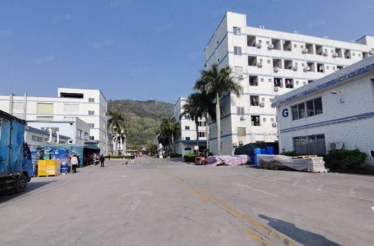 出租惠阳秋长现成装修地坪漆一楼1500平厂房仓库,低价出租