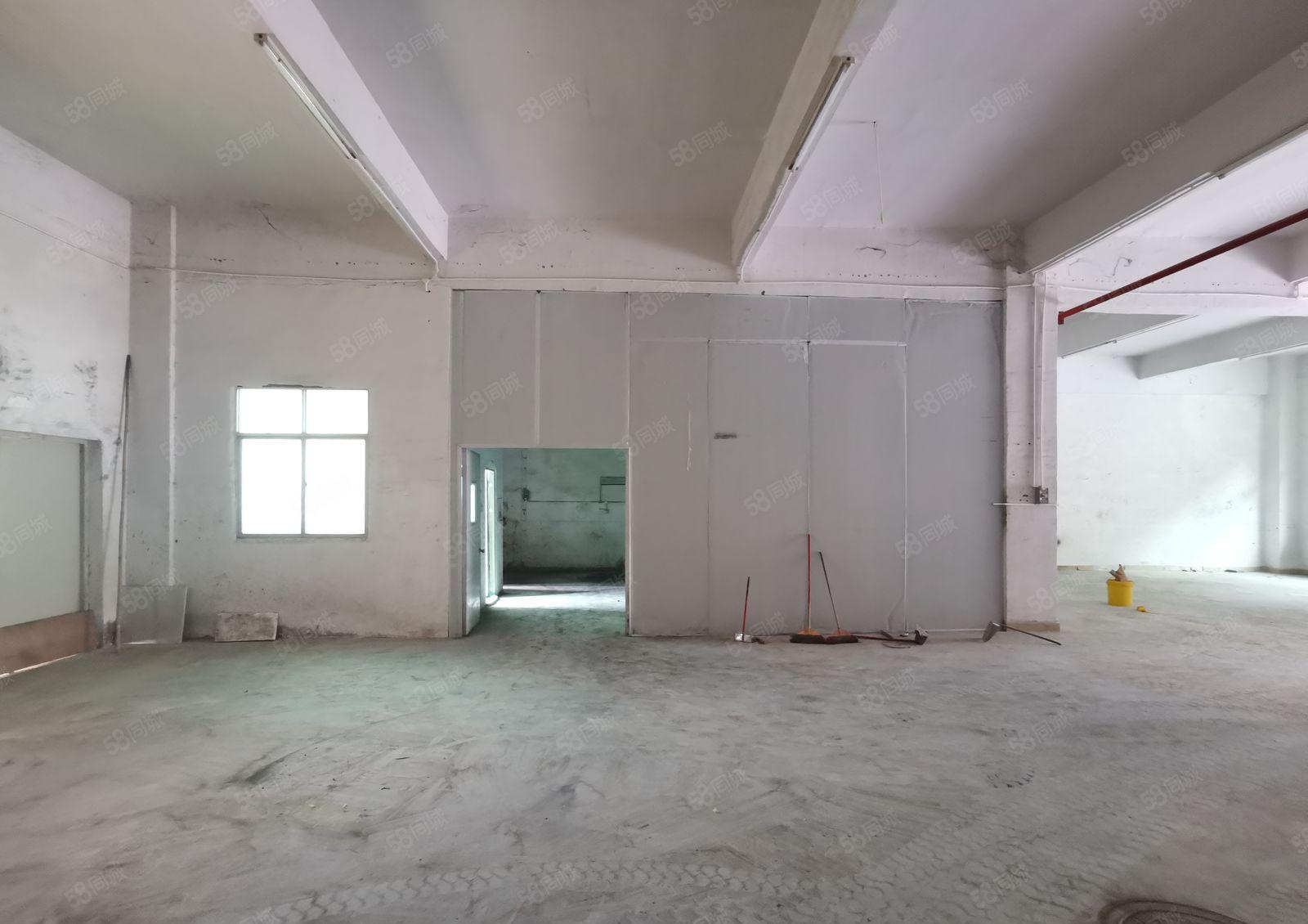 红本标准1楼厂房出租