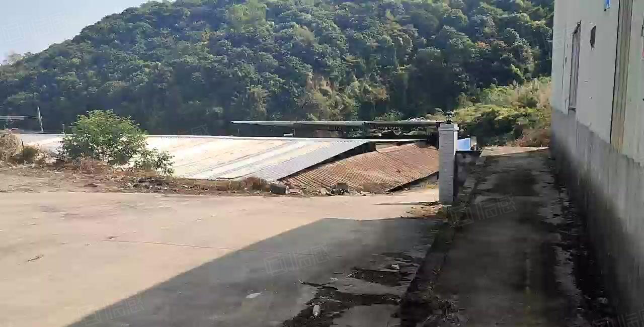 新圩靠山边铁皮房1000平方出租周围无居民