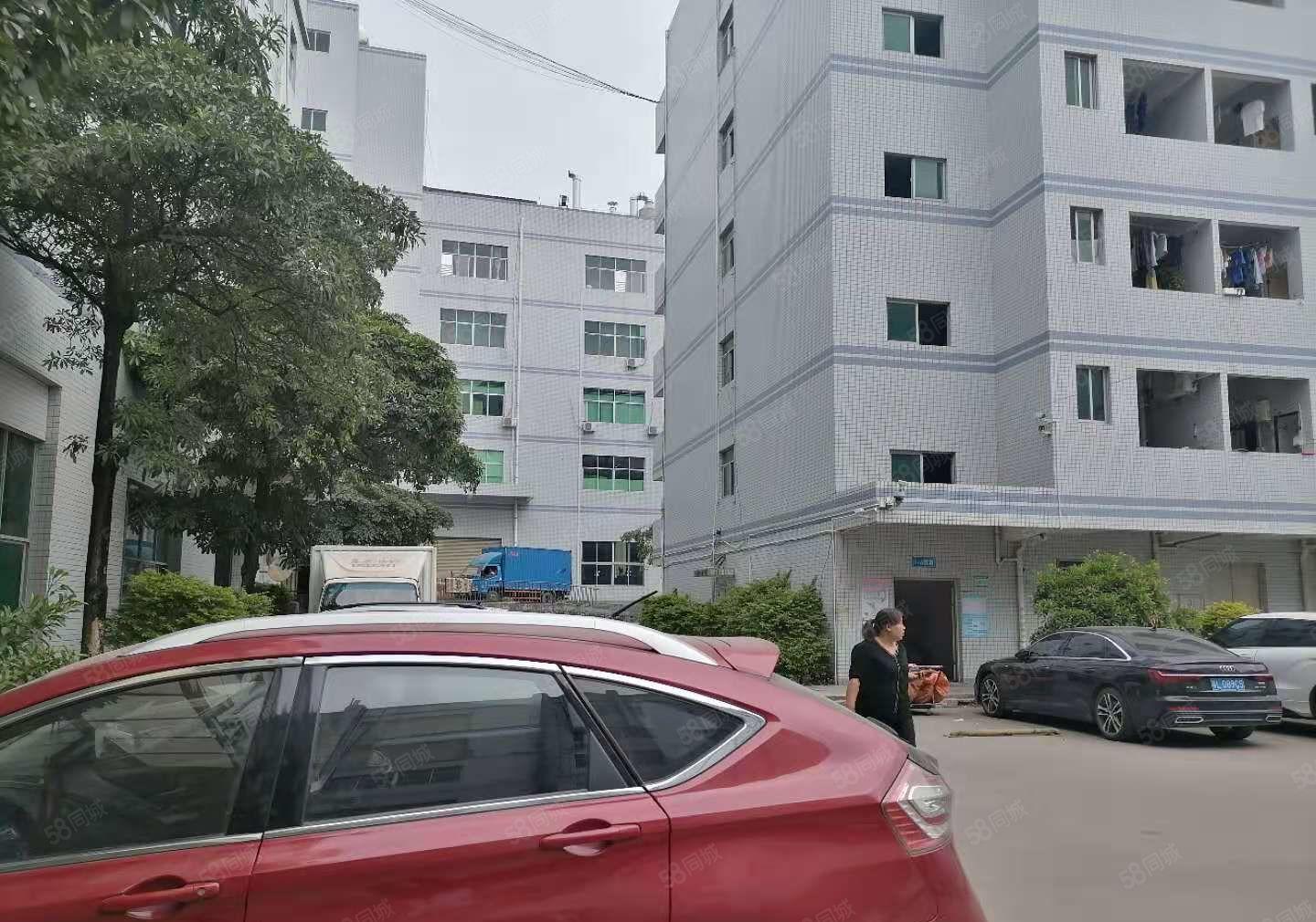 可分租新圩银岭工业园2000方带装修3楼厂房出租红本3吨货梯