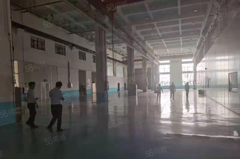 仲恺陈江新出原房东2层独栋厂房7180平一楼11米带现成行车