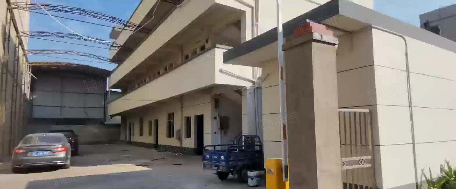 镇隆原房东 经典独院5050平实量面积厂房出租1000平起租