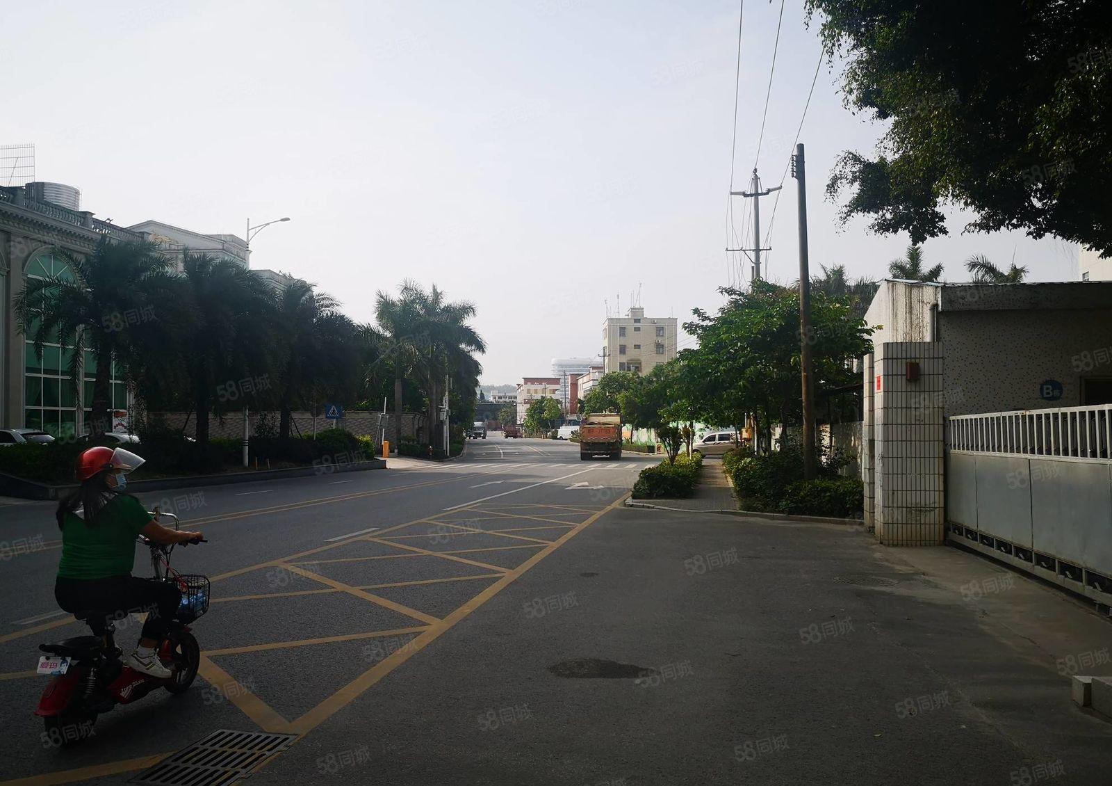 惠阳新圩东风村钢构厂房出租500平方原房东空地超大