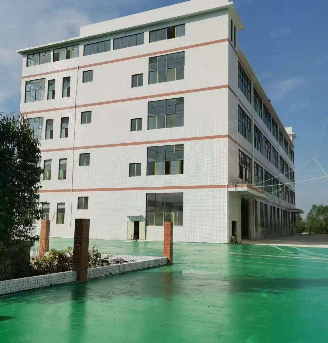 独门独院红本厂房四层6600平方，可以分租