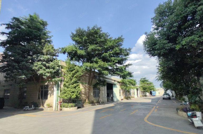 惠阳秋长独门独院厂房出租钢构厂房2500平整栋可仓库出租空地