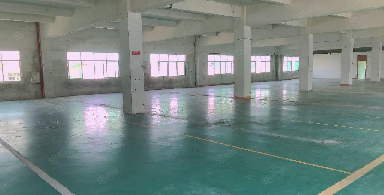 惠阳镇隆万里工业区原房东红本独院6600平方