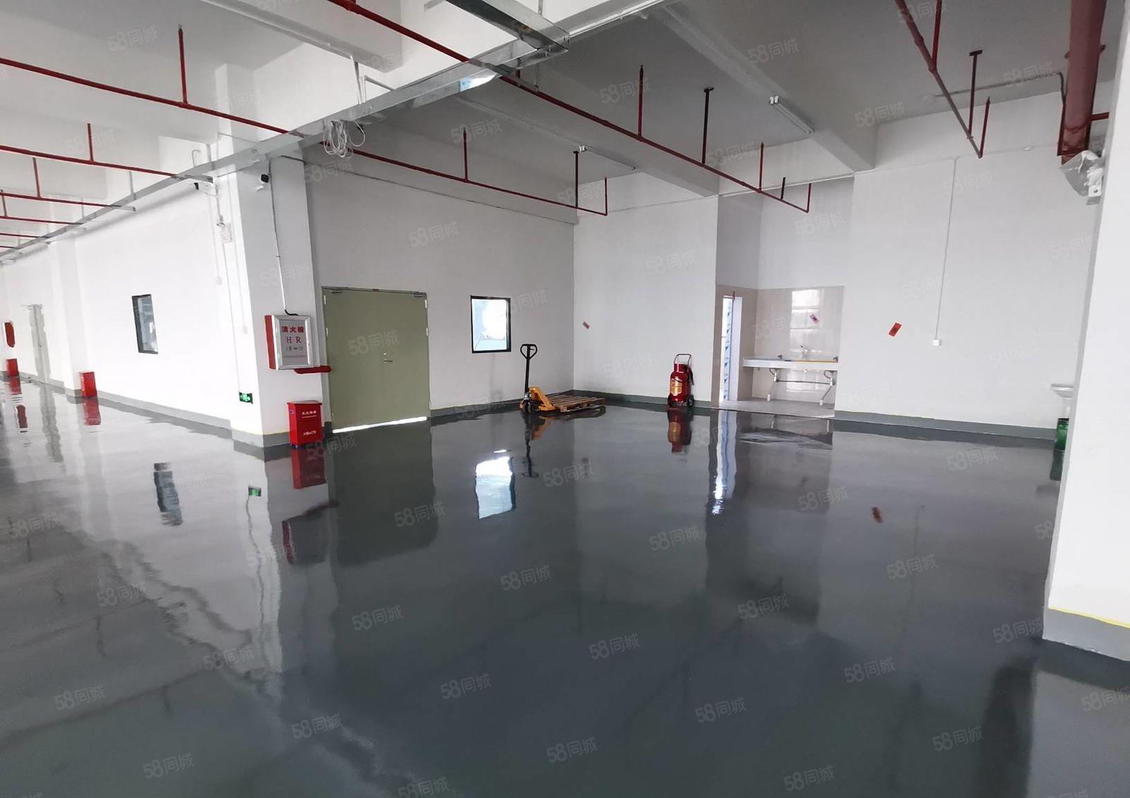 惠阳镇隆万里工业园原房东7万平带装修厂房出租可分租一楼6米高