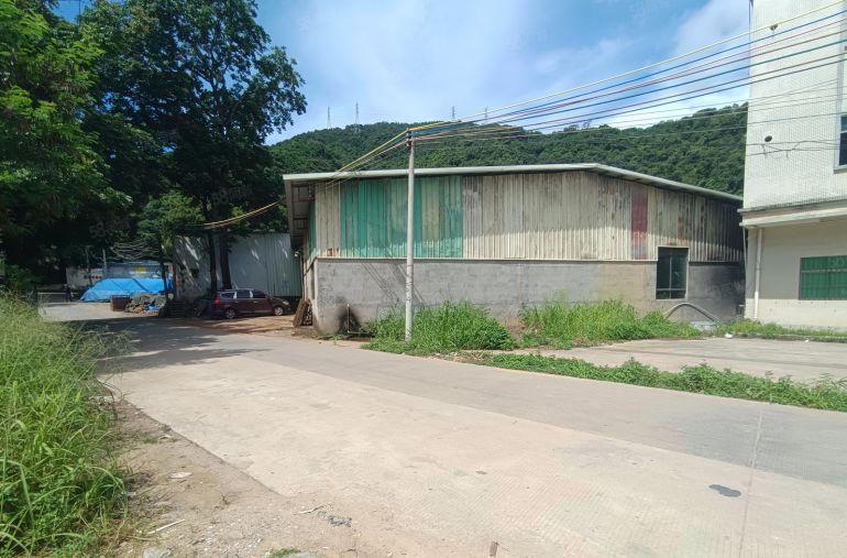 惠阳秋长800平米钢构独院10元出租