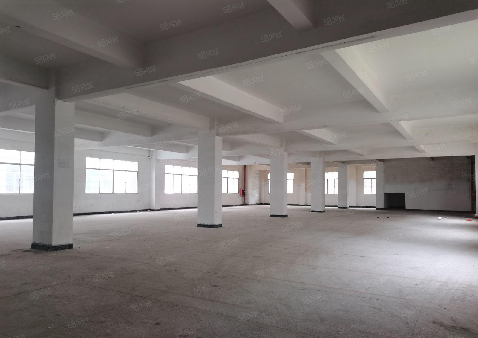 镇隆主干道边原房东独院厂房4000平方出租