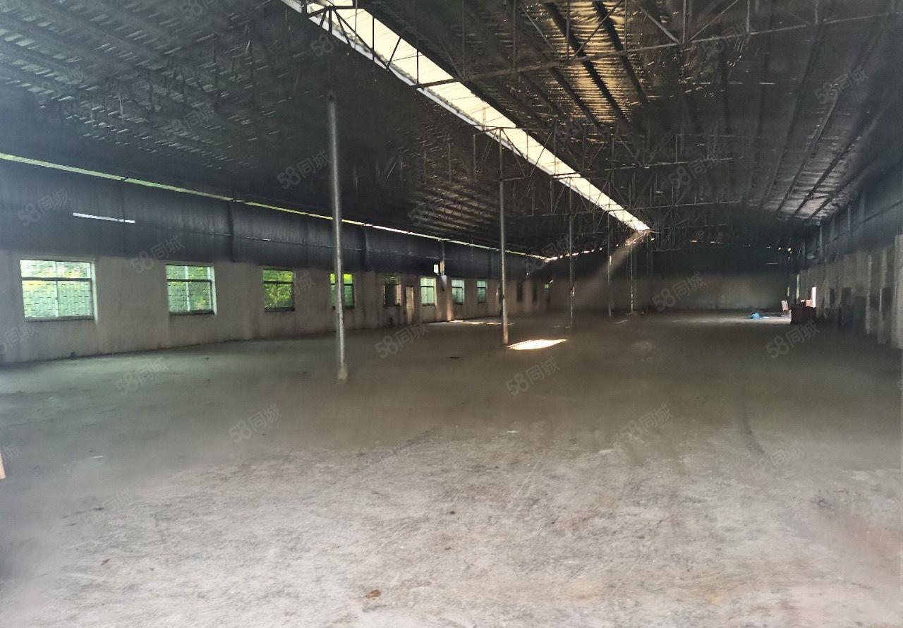 空地2000免费镇隆原房东独门独院700平