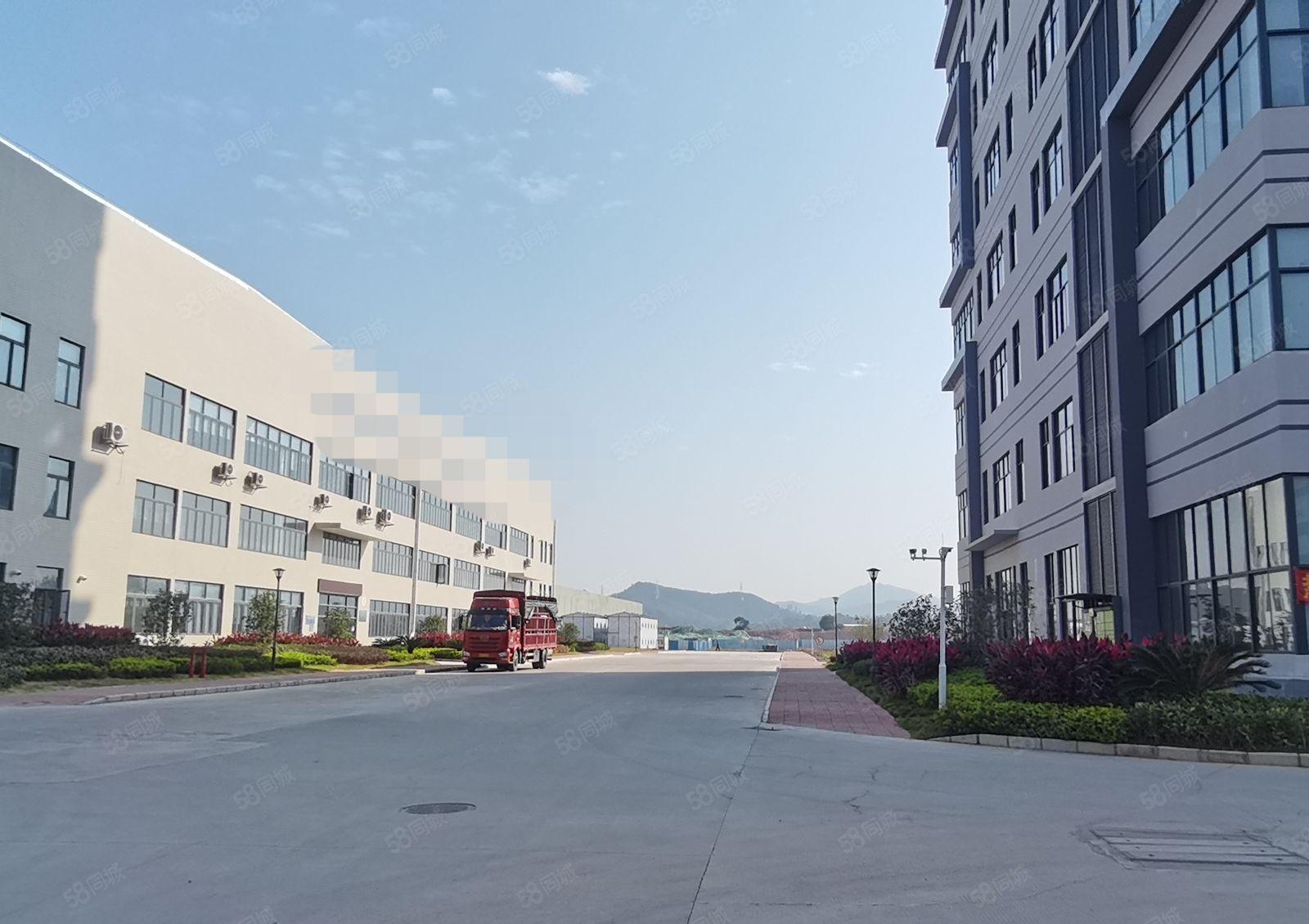 镇隆 原房东单一层滴水10米2万平钢构厂房出租1200平起分