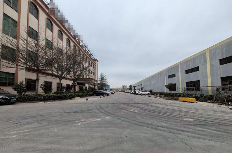 秋长白石国道边原房东独门独院钢结构滴水8米7600平厂房出租