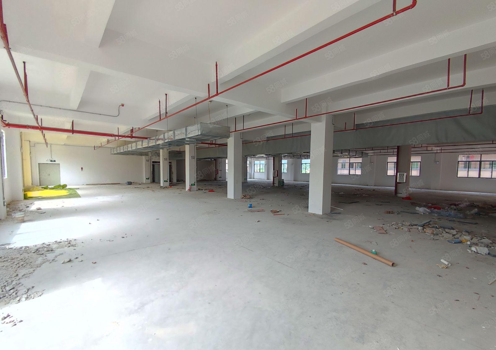 （7000独院）沙田镇田头村全新原房东标准厂房出租，