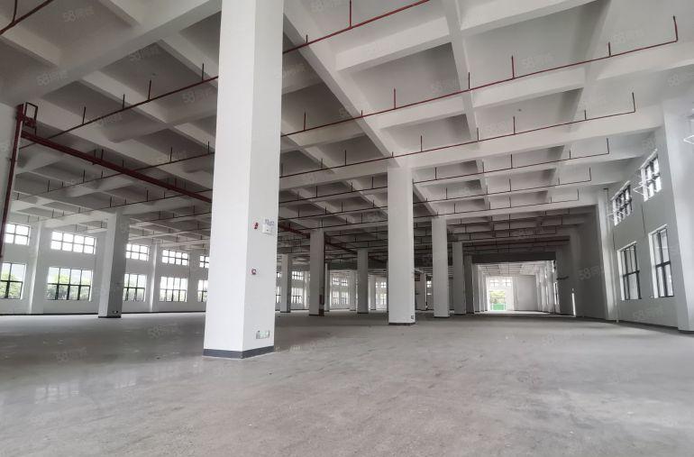 9块，三和经济开发区新出3000平原房东厂房仓库出租，可分租