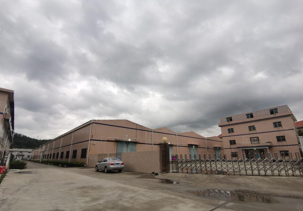 新圩长布独院滴水8米钢构厂房带行车9800平出租500平起分