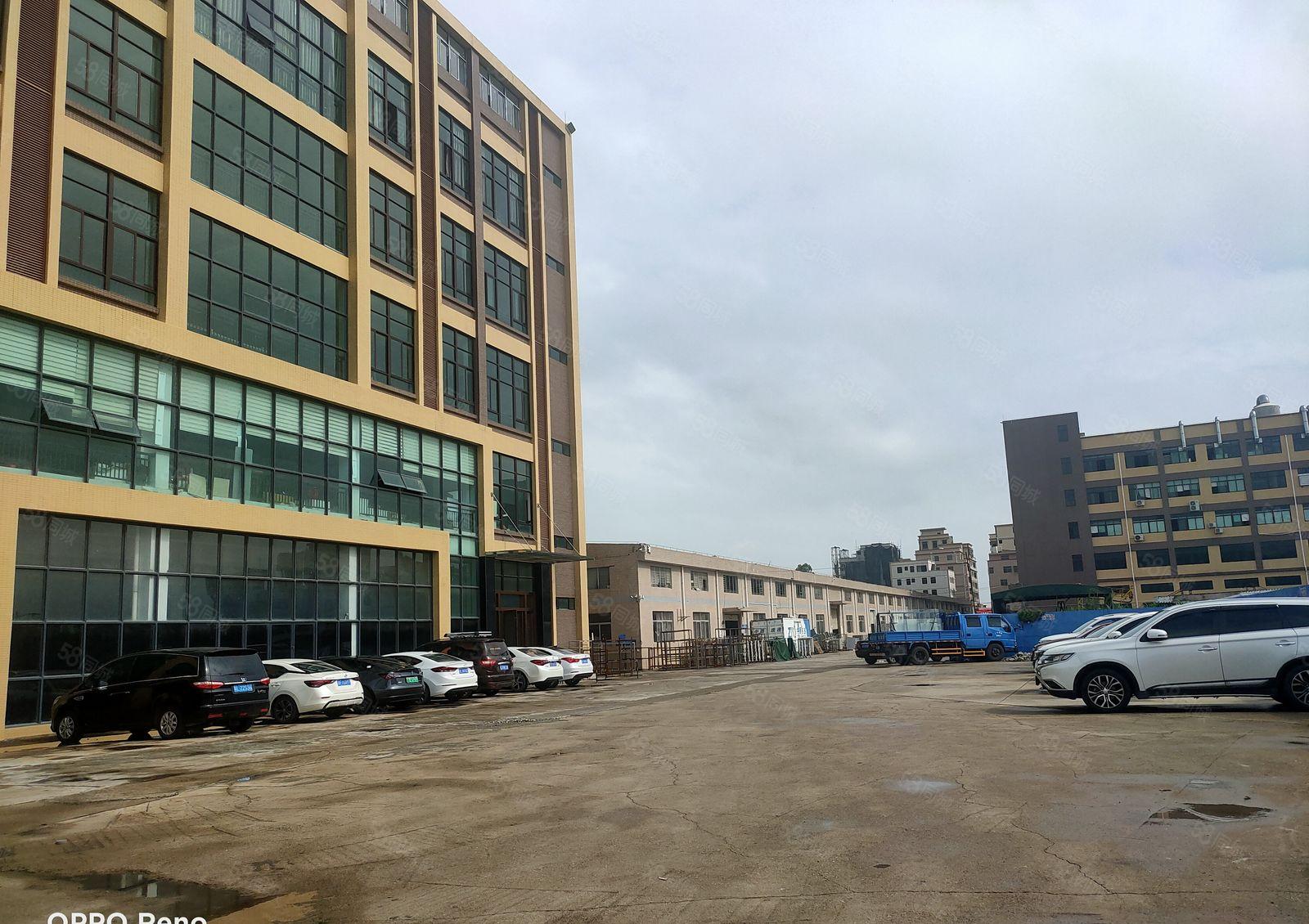 惠阳区沙田镇田头村7000钢构招租可整可分