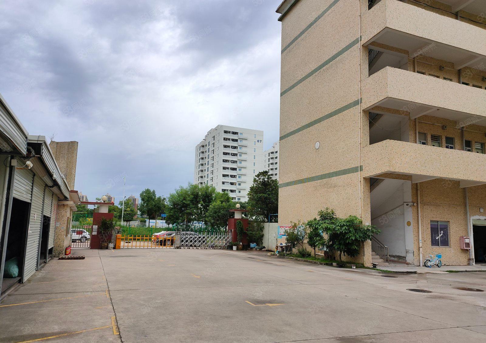 秋长白石黄氏工业园原房东红本标准一楼厂房1500平出租可分租