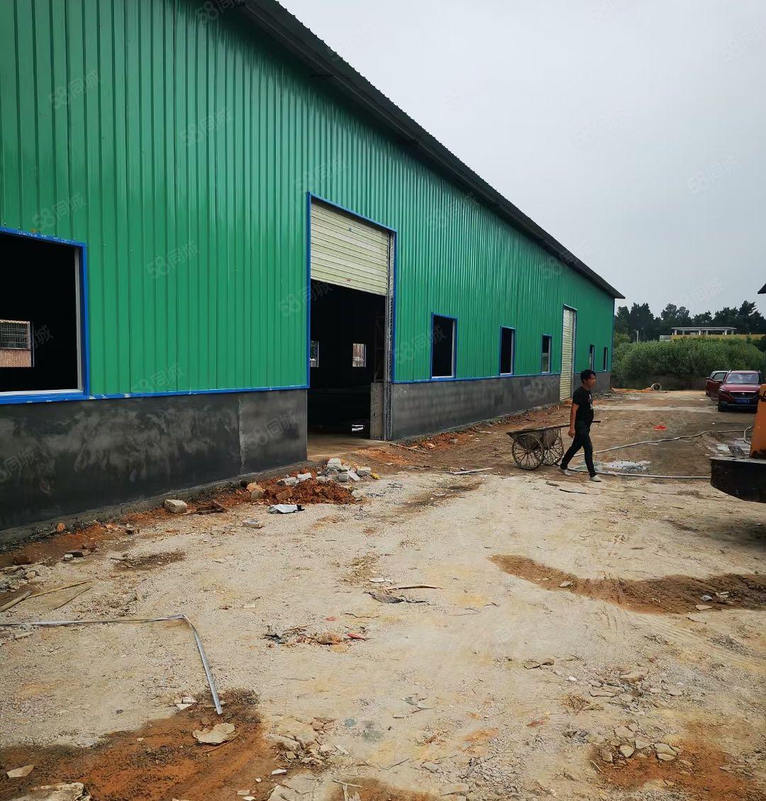 平潭大道旁新建钢构，面积1100平方米，租金便宜