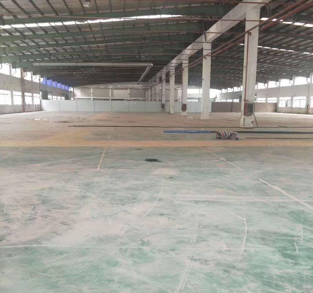 惠州镇隆红本砖墙到顶钢构厂房9600平方带消防喷淋，可分租