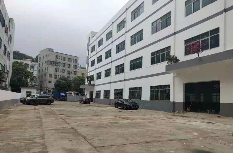 临深原房东独门独院10000平仓库厂房低价出租