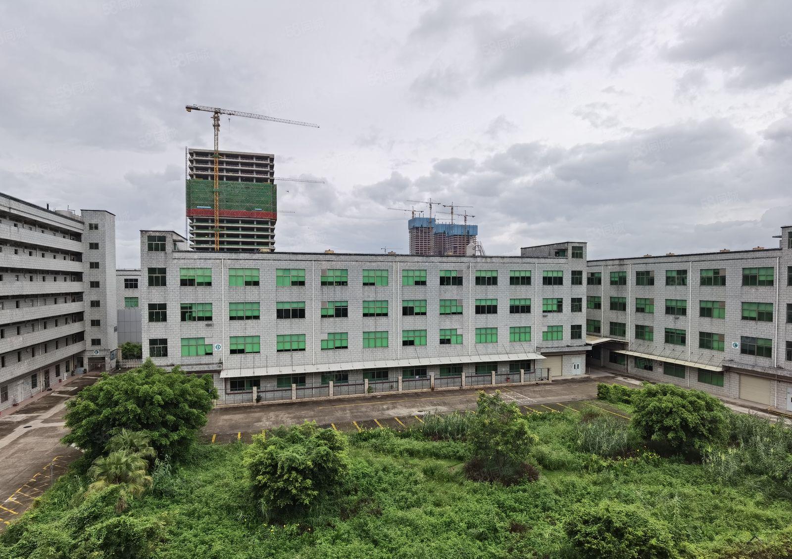 惠州市惠阳秋长镇50000红本标准厂房原房东招租