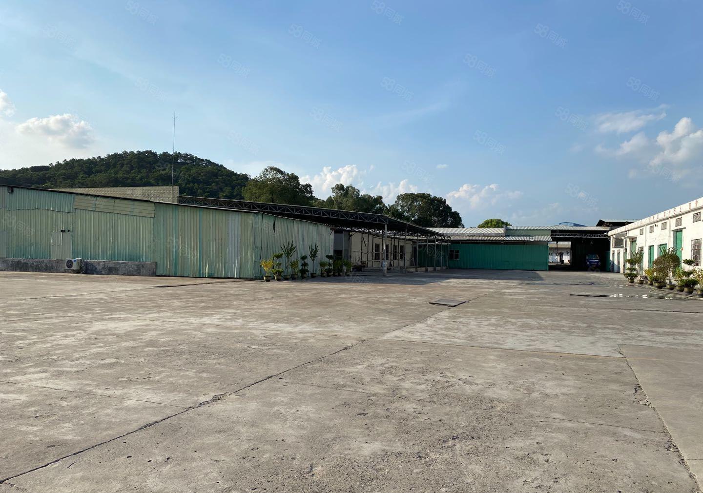 镇隆单一层红本钢构厂房4000平可做海绵泡沫，有锅炉，可分租