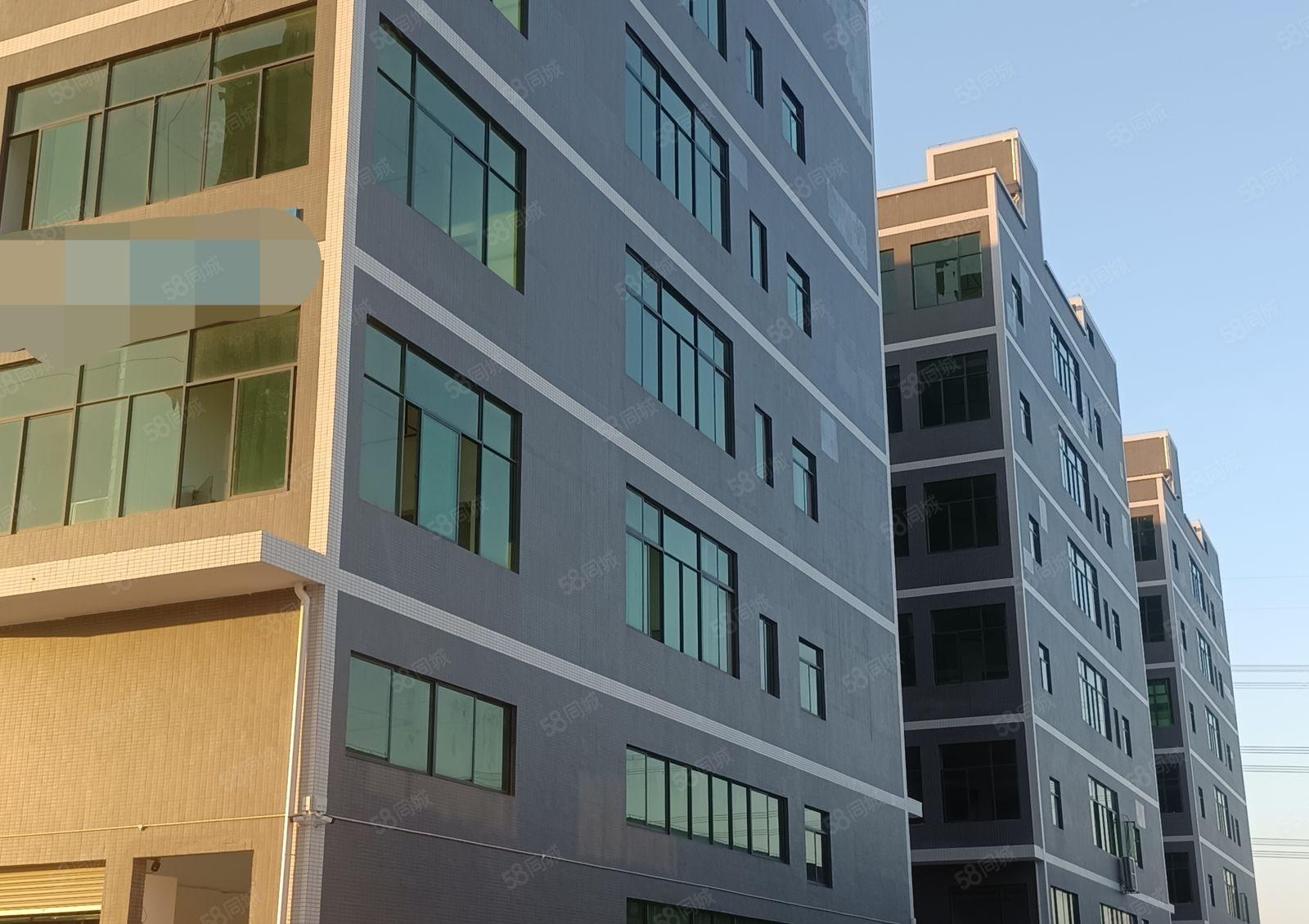 惠阳沙田秋长可办环评全新红本工业厂房出租可做家具的厂房出租