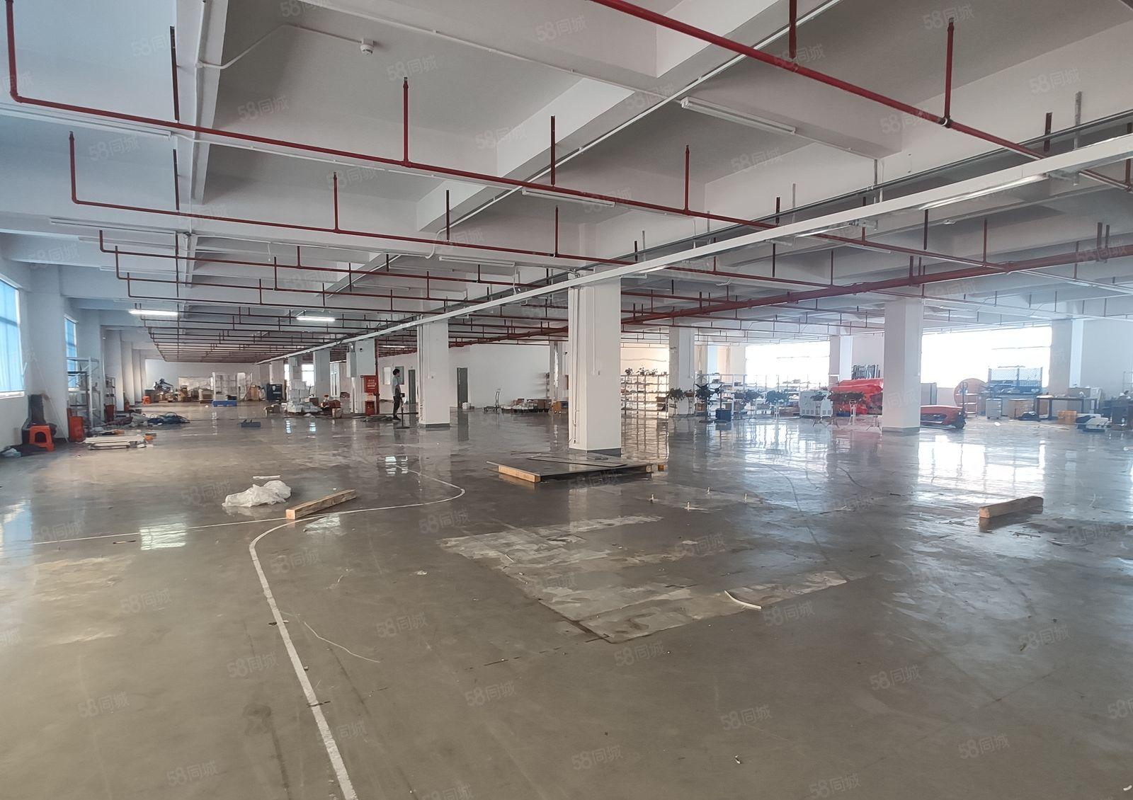 9元200平起租原房东惠阳镇隆永湖红本2万平一楼仓库厂房出租