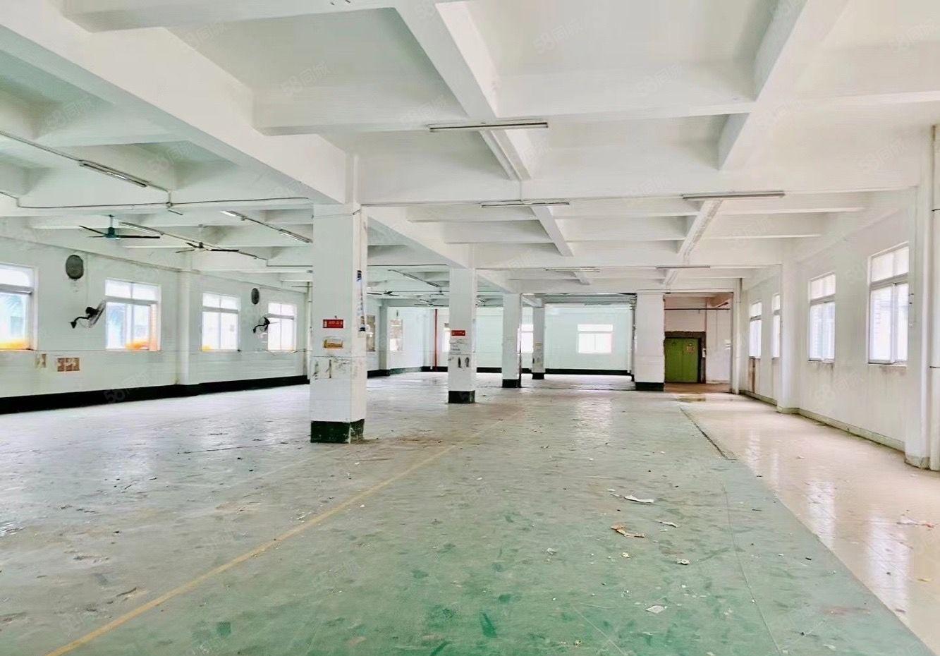 镇隆长龙工业区500平厂房出租