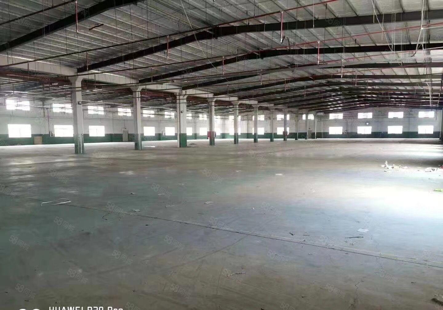 带消防喷淋！惠阳三和新出砖墙单层钢构