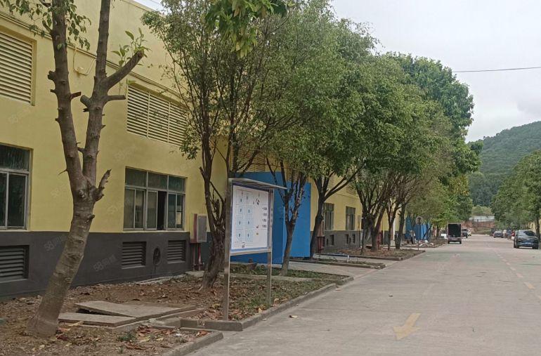 惠阳新圩新出靠山边砖墙到顶钢结构厂房8000平方米招租