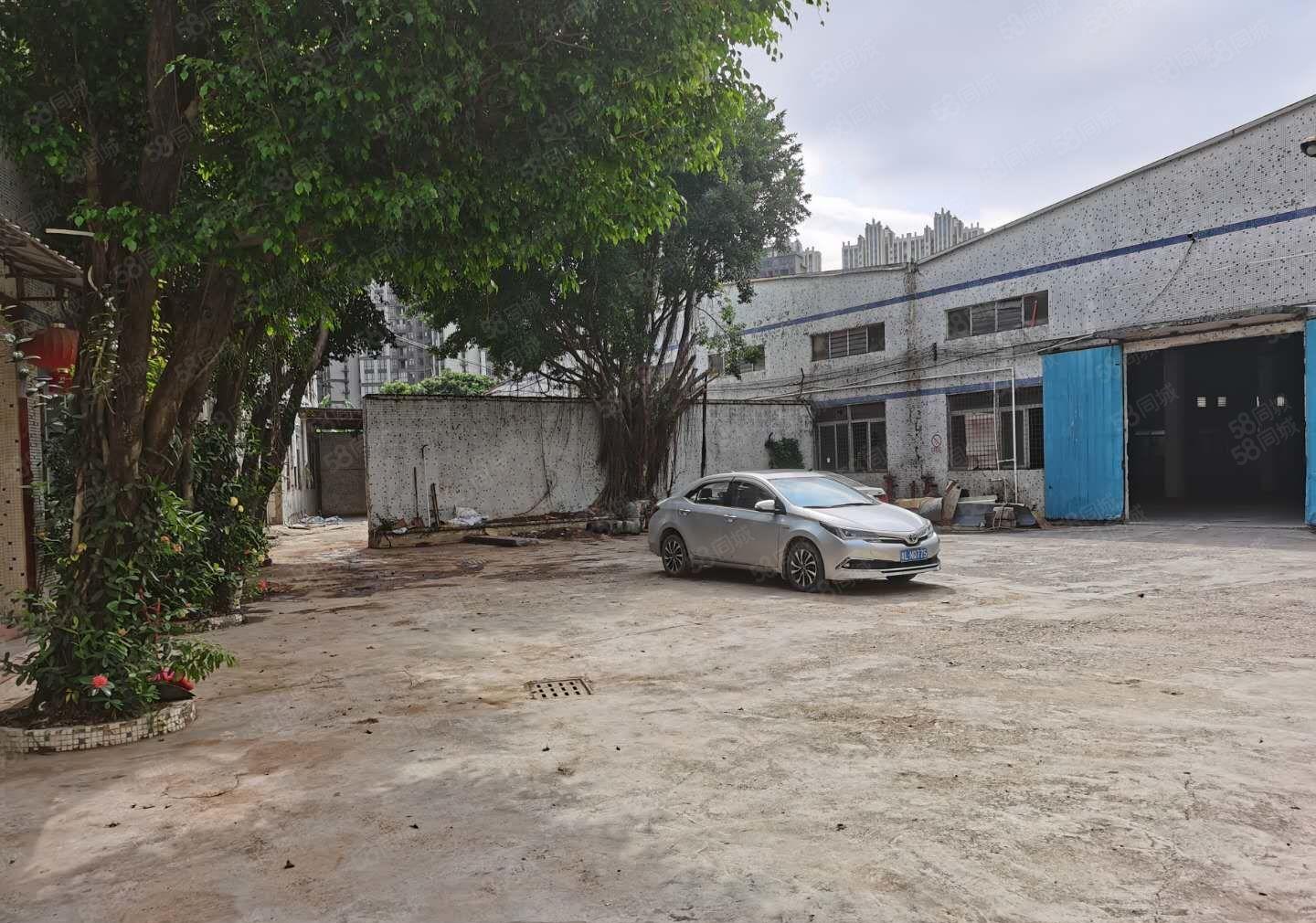 惠州惠阳区秋长镇白石村原房东滴水8米独院钢构厂房4600平米