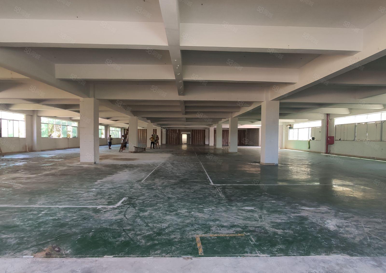 9元起惠阳秋长白石10000平独院厂房仓库出租200平分租