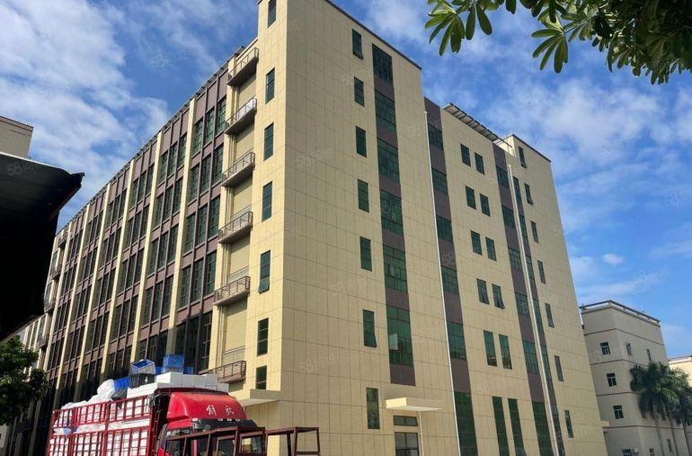 10元零公摊！惠阳沙田5600平原房东厂房仓库低价出租可分租