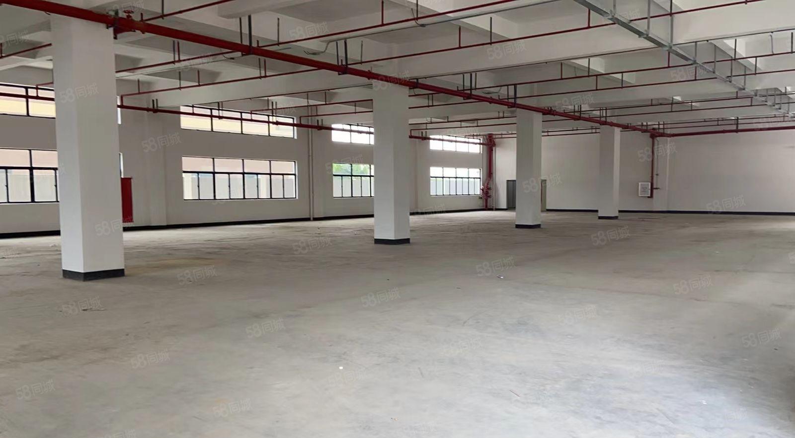 惠阳区镇隆镇全新独院标准厂房26000平米出租原房东证件齐全