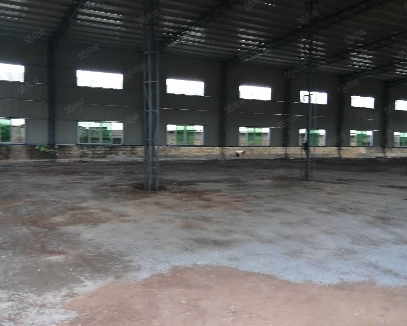 惠阳秋长新出独栋滴水8米2300平 可整可分