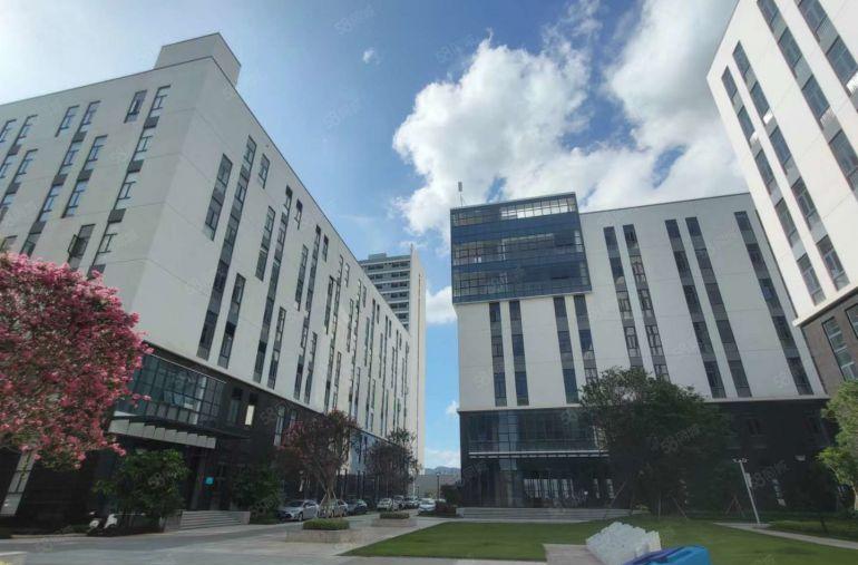 临深全新高标厂房，租售一体。