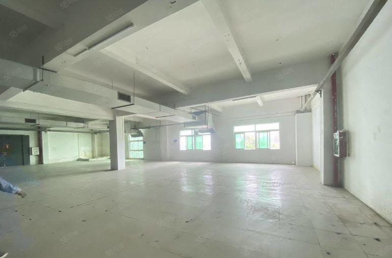 免租半年  惠阳临深  工业园区，7元  7元